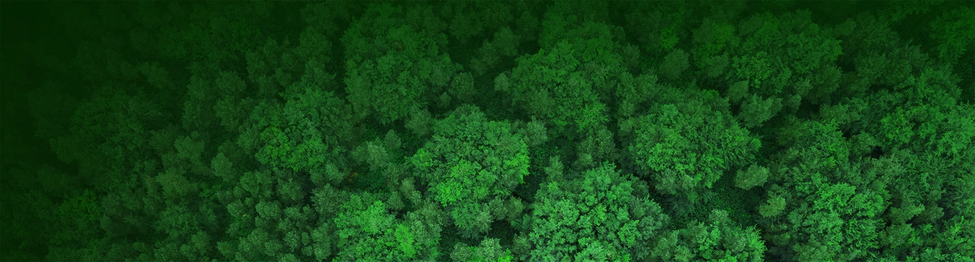 Nachhaltigkeit--Banner