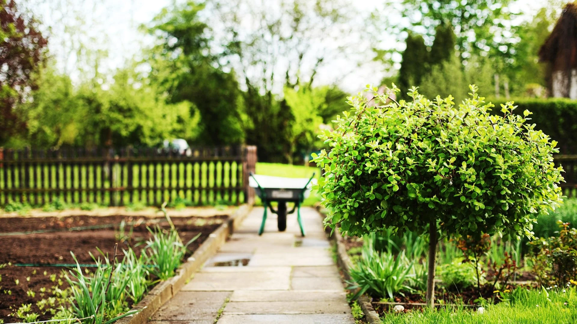 Haus- und Gartenrenovierung